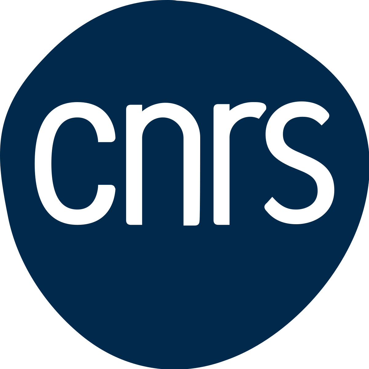 Logo_CNRS_2023.svg.png